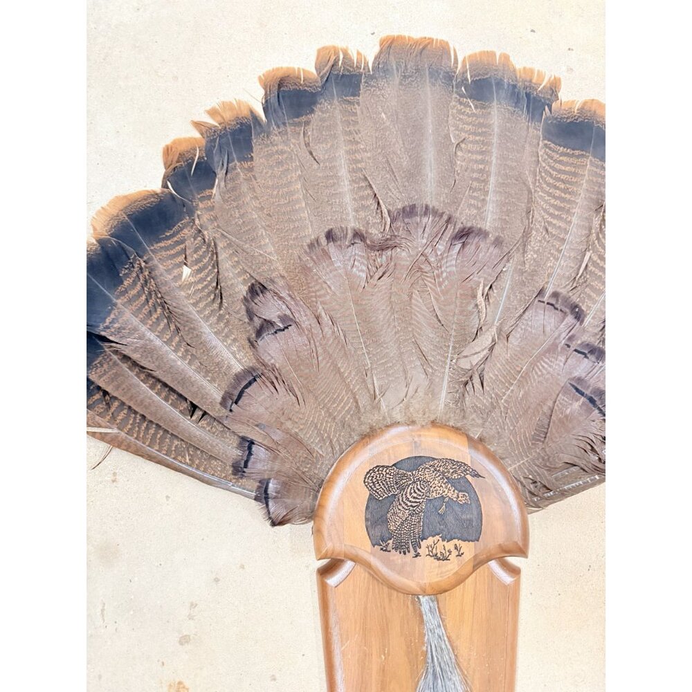 Hunting Mount Wild Turkey Hunt Trophy Tail Beard Mount 29” Wood Plaque Panel Tax - Picture 4 of 12